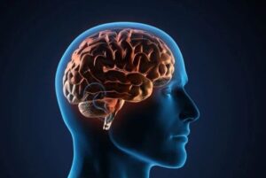 March 28, 2026 | Concussions in Car Accidents A visual representation of common concussion symptoms like headache and dizziness.