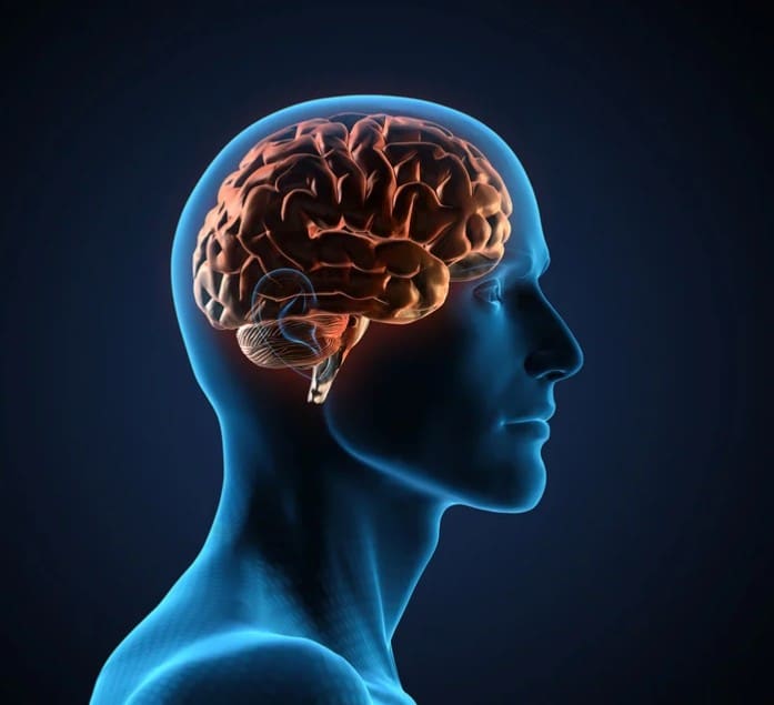 A visual representation of common concussion symptoms like headache and dizziness.