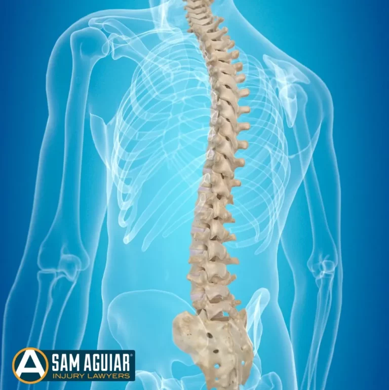 Medical illustration of the spine
