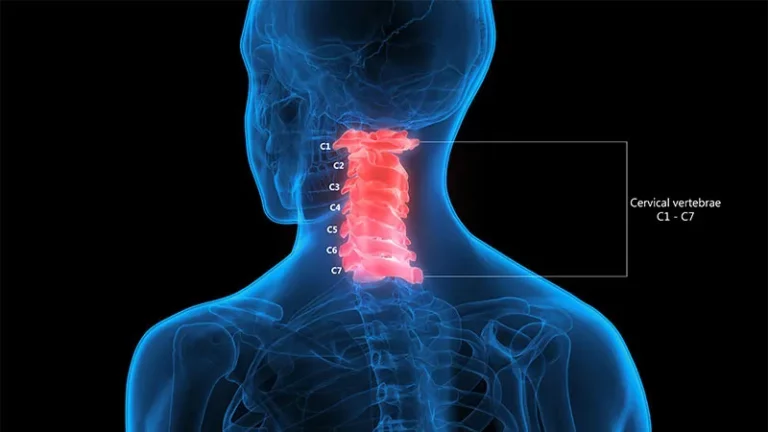 Illustration of cervical vertebrae anatomy