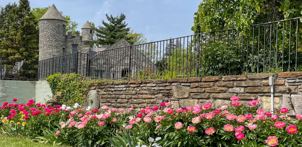 Pink flowers beside a stone wall and turreted building in Crestwood