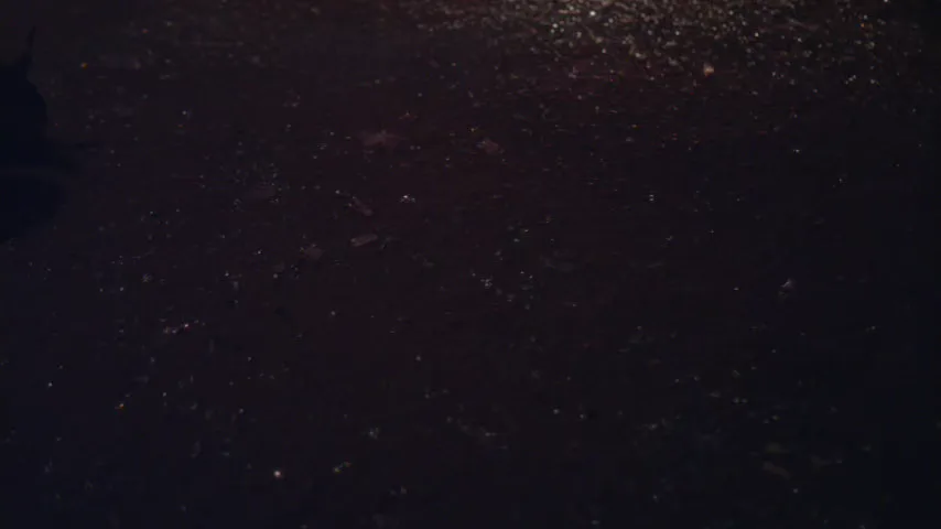 Shattered glass and a broken side mirror on the pavement beside a wrecked car at night